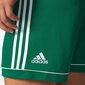 Šortai berniukams Adidas Squadra 17 M BJ9231, žali kaina ir informacija | Šortai berniukams | pigu.lt