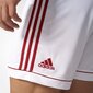 Šortai berniukams Adidas Squadra 17 M BK4762, balti kaina ir informacija | Šortai berniukams | pigu.lt