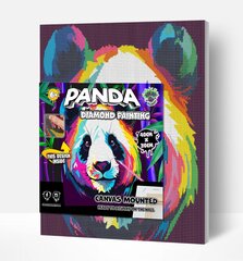 Deimantinė mozaika Splat Planet Panda 2, 30x40 cm kaina ir informacija | Deimantinės mozaikos | pigu.lt