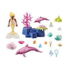 71501 PLAYMOBIL® Princess Magic, undinėlė su delfinais цена и информация | Конструкторы и кубики | pigu.lt