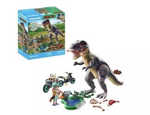 71524 PLAYMOBIL® Dinos, dinozaurai kaina ir informacija | Konstruktoriai ir kaladėlės | pigu.lt