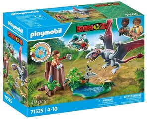 71525 PLAYMOBIL® Dinos, dinozaurai kaina ir informacija | Konstruktoriai ir kaladėlės | pigu.lt