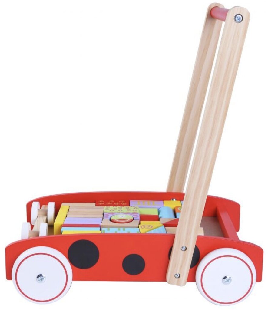Medinis stumdukas su kaladėlėmis Ecotoys kaina ir informacija | Žaislai kūdikiams | pigu.lt