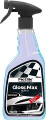 Salono valiklis ProElite, 750 ml kaina ir informacija | Autochemija | pigu.lt