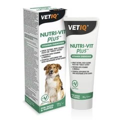 Vetiq vitaminų pasta šunims Nutri-Vit Plus, 100 g kaina ir informacija | Vitaminai, papildai, antiparazitinės priemonės šunims | pigu.lt