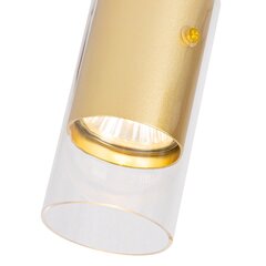 Milagro lubinis šviestuvas Ricky ML0689 kaina ir informacija | Lubiniai šviestuvai | pigu.lt