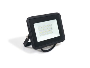 Prožektorius - LED halogeninis 30W - Juodas - Šaltai baltas (6000K) kaina ir informacija | Žibintuvėliai, prožektoriai | pigu.lt