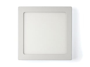 Светодиодная панель, 18 Вт, холодный белый цена и информация | Монтируемые светильники, светодиодные панели | pigu.lt