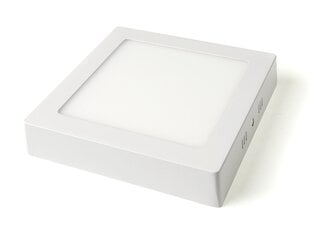 Koloreno LED panelė, 12 W, šiltai balta kaina ir informacija | Įmontuojami šviestuvai, LED panelės | pigu.lt