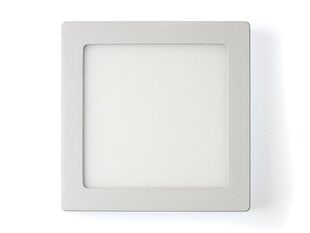 Светодиодная панель, 12 Вт, теплый белый цена и информация | Монтируемые светильники, светодиодные панели | pigu.lt