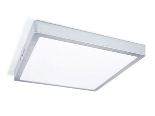 Светодиодная панель, 24 Вт, нейтральный белый цена и информация | Монтируемые светильники, светодиодные панели | pigu.lt
