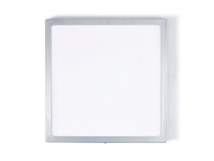 Koloreno LED panelė, 24 W, neutrali balta kaina ir informacija | Įmontuojami šviestuvai, LED panelės | pigu.lt