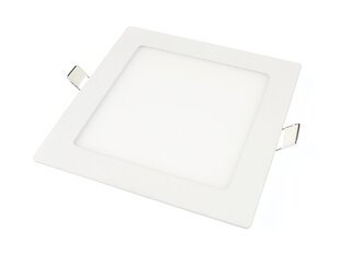 Светодиодная панель, 12 Вт, холодный белый цена и информация | Монтируемые светильники, светодиодные панели | pigu.lt