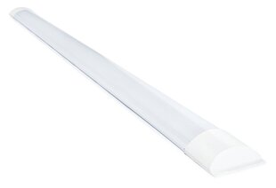 Koloreno LED panelė, 36 W, šaltai balta kaina ir informacija | Įmontuojami šviestuvai, LED panelės | pigu.lt