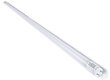 LED liuminescencinis vamzdis T8 - 24W - 150cm - maitinimas iš vienos pusės - šaltai baltas (6000K) цена и информация | Elektros lemputės | pigu.lt