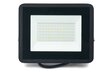 Prožektorius - LED halogeninis 50W - Juodas - Neutraliai baltas (4500K) kaina ir informacija | Žibintuvėliai, prožektoriai | pigu.lt