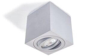 Квадратный накладной галогенный светильник LED Cubo, серебро цена и информация | Потолочные светильники | pigu.lt