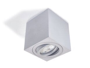 Квадратный накладной галогенный светильник LED Cubo, серебро цена и информация | Потолочные светильники | pigu.lt