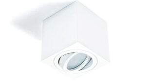 Квадратный накладной галогенный светильник LED Cubo - Белый цена и информация | Потолочные светильники | pigu.lt