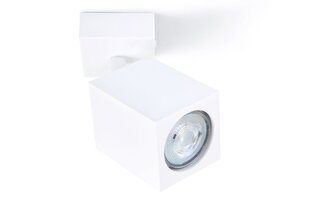 Настенно-потолочный галогенный светильник LED Quantus x1 - Белый цена и информация | Потолочные светильники | pigu.lt
