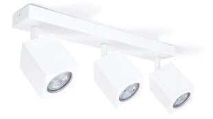 Накладной галогенный настенно-потолочный светильник LED Quantus x3, белый цена и информация | Потолочные светильники | pigu.lt