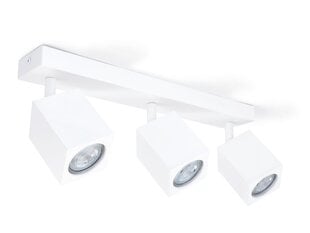 Накладной галогенный настенно-потолочный светильник LED Quantus x3, белый цена и информация | Потолочные светильники | pigu.lt