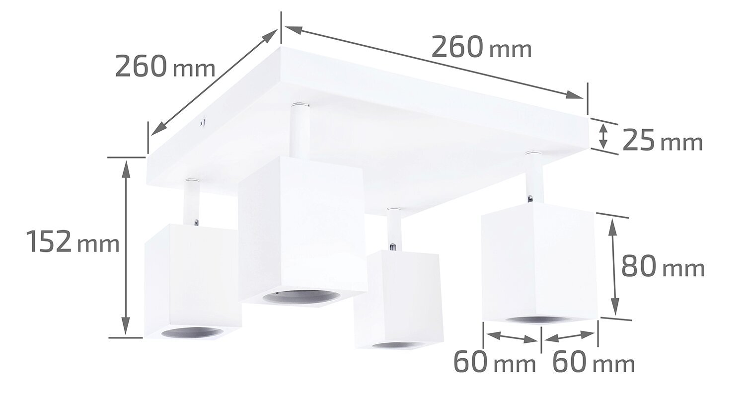 Idea Led lubinis-sieninis šviestuvas Quantus 4 kaina ir informacija | Lubiniai šviestuvai | pigu.lt
