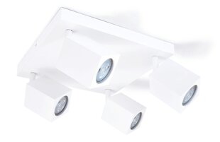 Накладной галогенный настенно-потолочный светильник LED Quantus x4, белый цена и информация | Потолочные светильники | pigu.lt