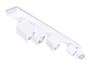 Lubinis šviestuvas LED Quantus цена и информация | Потолочные светильники | pigu.lt