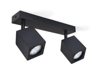 Настенно-потолочный галогенный светильник LED Quantus x2 накладного монтажа - Белый цена и информация | Потолочные светильники | pigu.lt
