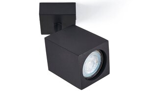 Lubinis šviestuvas LED Quantus x1 цена и информация | Потолочные светильники | pigu.lt