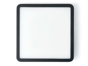 Светодиодная панель, 18 Вт, нейтральный белый цена и информация | Монтируемые светильники, светодиодные панели | pigu.lt