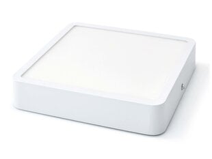 Светодиодная панель, 18Вт, нейтральный белый цена и информация | Монтируемые светильники, светодиодные панели | pigu.lt