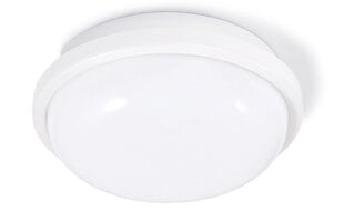 Канальный светильник IP65 LED Torton 15W White - Нейтральный белый (4000K) цена и информация | Настенные светильники | pigu.lt