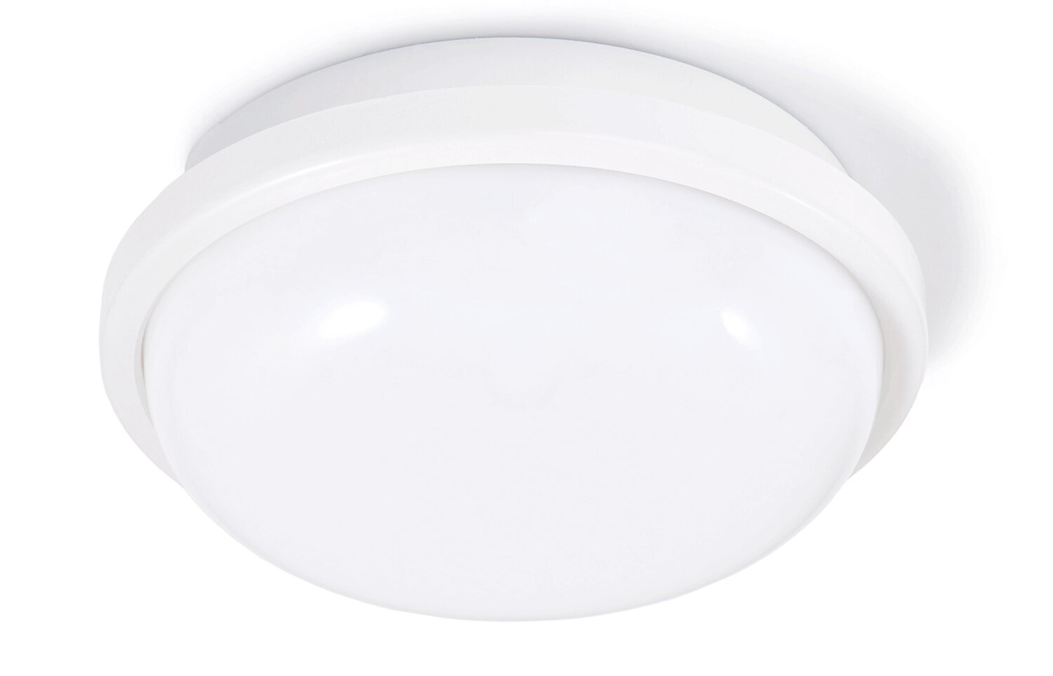 Sieninis šviestuvas LED Torton kaina ir informacija | Sieniniai šviestuvai | pigu.lt