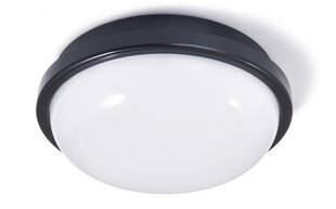 Канальный светильник IP65 LED Torton 15W черный - нейтральный белый (4000K) цена и информация | Настенные светильники | pigu.lt