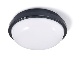 Канальный светильник IP65 LED Torton 15W черный - нейтральный белый (4000K) цена и информация | Настенные светильники | pigu.lt