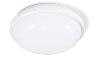 Канальный светильник IP65 LED Torton 20W White - Нейтральный белый (4000K) цена и информация | Настенные светильники | pigu.lt