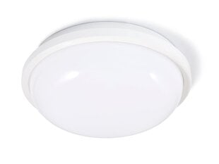 Канальный светильник IP65 LED Torton 20W White - Нейтральный белый (4000K) цена и информация | Настенные светильники | pigu.lt