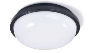 Канальный светильник IP65 LED Torton 20W Черный - Нейтральный белый (4000K) цена и информация | Потолочные светильники | pigu.lt