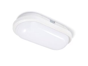 Овальный канальный светильник LED Torton 15W White - Neutral White (4000K) IP65 цена и информация | Потолочные светильники | pigu.lt