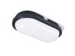 LED Torton 15W juoda - neutralios baltos (4000K) spalvos ovalus kanalinis šviestuvas IP65 kaina ir informacija | Lubiniai šviestuvai | pigu.lt