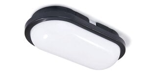 Овальный канальный светильник LED Torton 15W Black - Neutral White (4000K) IP65 цена и информация | Потолочные светильники | pigu.lt