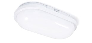 LED Torton 20W baltos - neutralios baltos (4000K) spalvos ovalus kanalinis šviestuvas IP65 kaina ir informacija | Lubiniai šviestuvai | pigu.lt