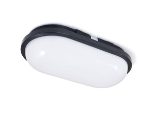 Овальный канальный светильник LED Torton 20W Black - Neutral White (4000K) IP65 цена и информация | Потолочные светильники | pigu.lt