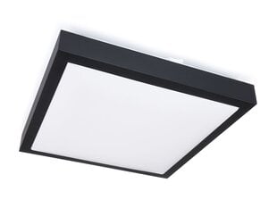Solen светодиодная панель, 18 Вт, нейтральный белый цена и информация | Монтируемые светильники, светодиодные панели | pigu.lt