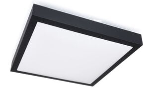MasterLed LED panelė, 18 W, neutrali balta kaina ir informacija | Įmontuojami šviestuvai, LED panelės | pigu.lt