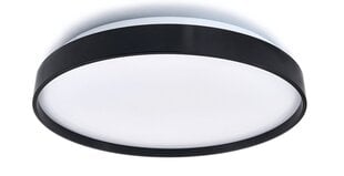 Big Ver.2 светодиодная панель, 48 Вт, нейтральный белый цена и информация | Монтируемые светильники, светодиодные панели | pigu.lt