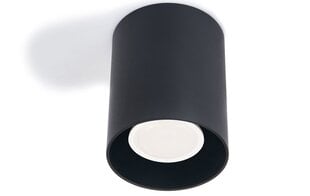 Галогенный светильник LED Creep x1 фиксированный алюминиевый накладной, белый цена и информация | Потолочные светильники | pigu.lt
