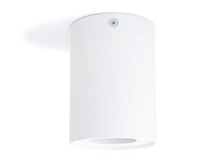 LED Busto S x1 - White - светодиодный накладной фиксированный галогенный светильник в алюминиевом корпусе цена и информация | Потолочные светильники | pigu.lt